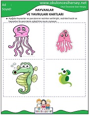 Hayvanlar ve Yavruları Eğitici Kartları